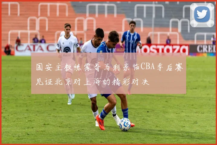 国安主教练蒙哥马利亲临CBA季后赛见证北京对上海的精彩对决